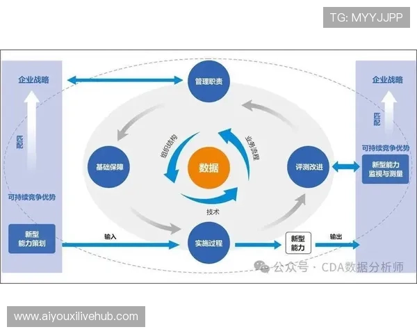 基于数据的决策文化成为组织运营核心。
